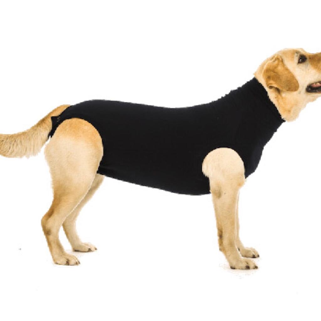 suitical-dog-recovery-vest-in-lydiard-millicent-f-r-8-00-zum-verkauf