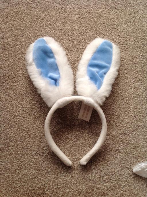 Buy & Sell West Midlands Birmingham - Photos for Bunny ears fancy dress