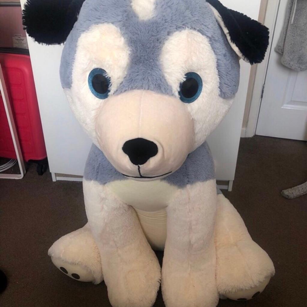 Large Husky Teddy in WV14 Dudley für £ 1,00 zum Verkauf Shpock AT