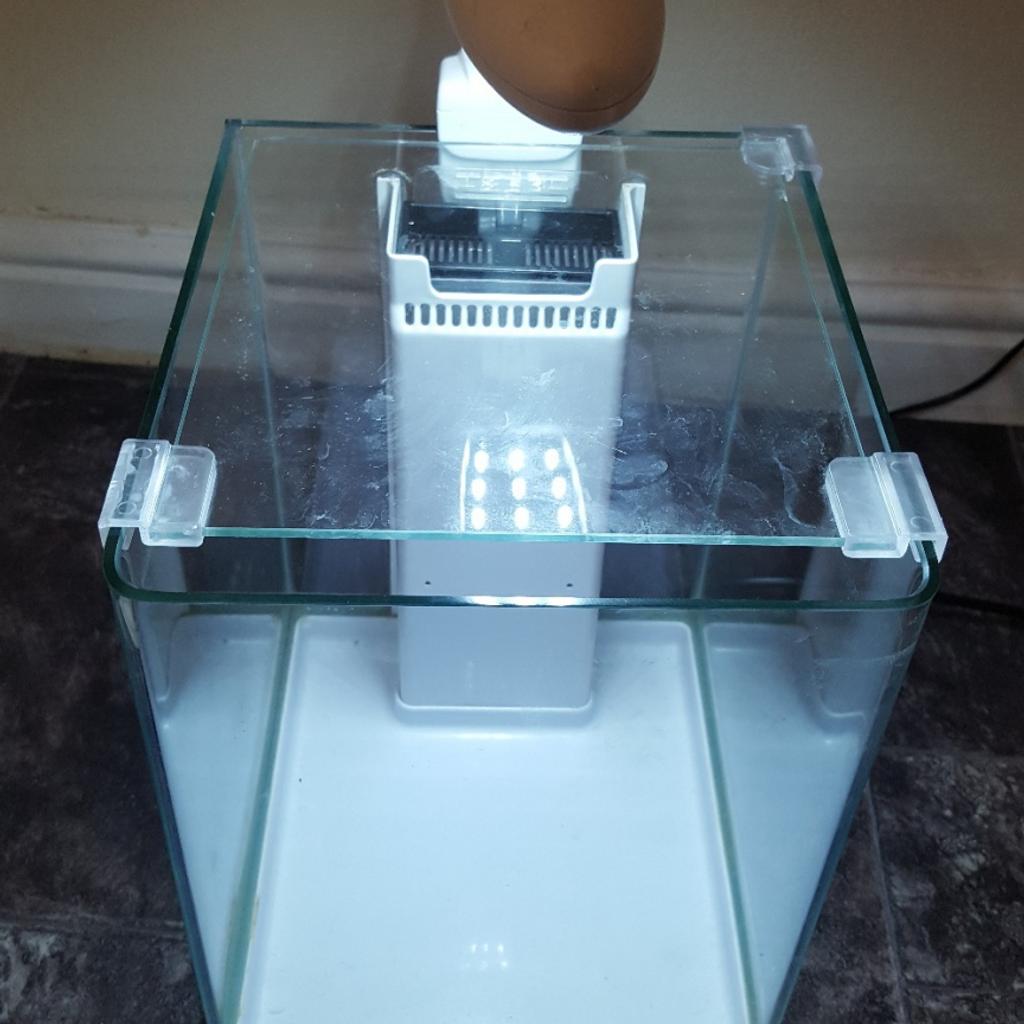 Aqua Nova 10l fish tank in SR5 Sunderland for £20.00 for sale | Shpock