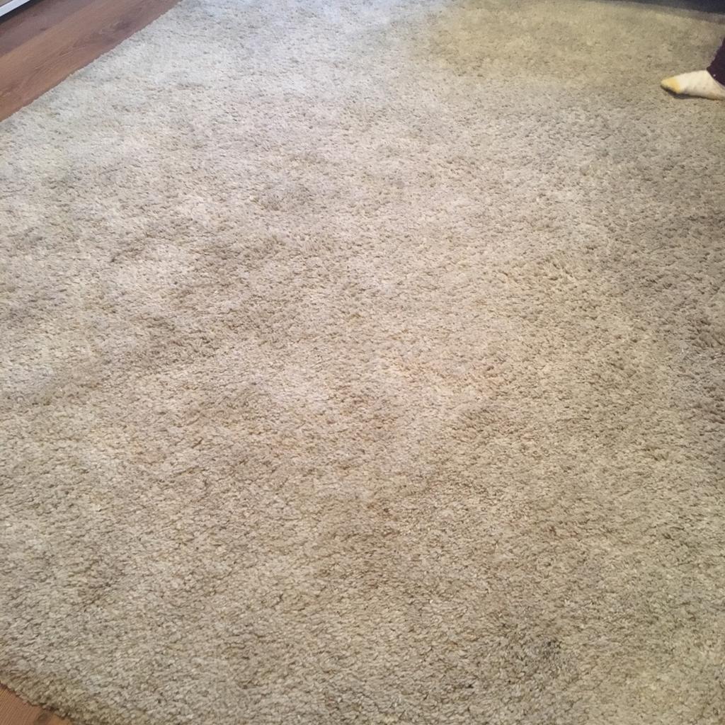 Ikea ADUM shaggy rug in Epping Forest für 30,00 £ zum Verkauf | Shpock DE