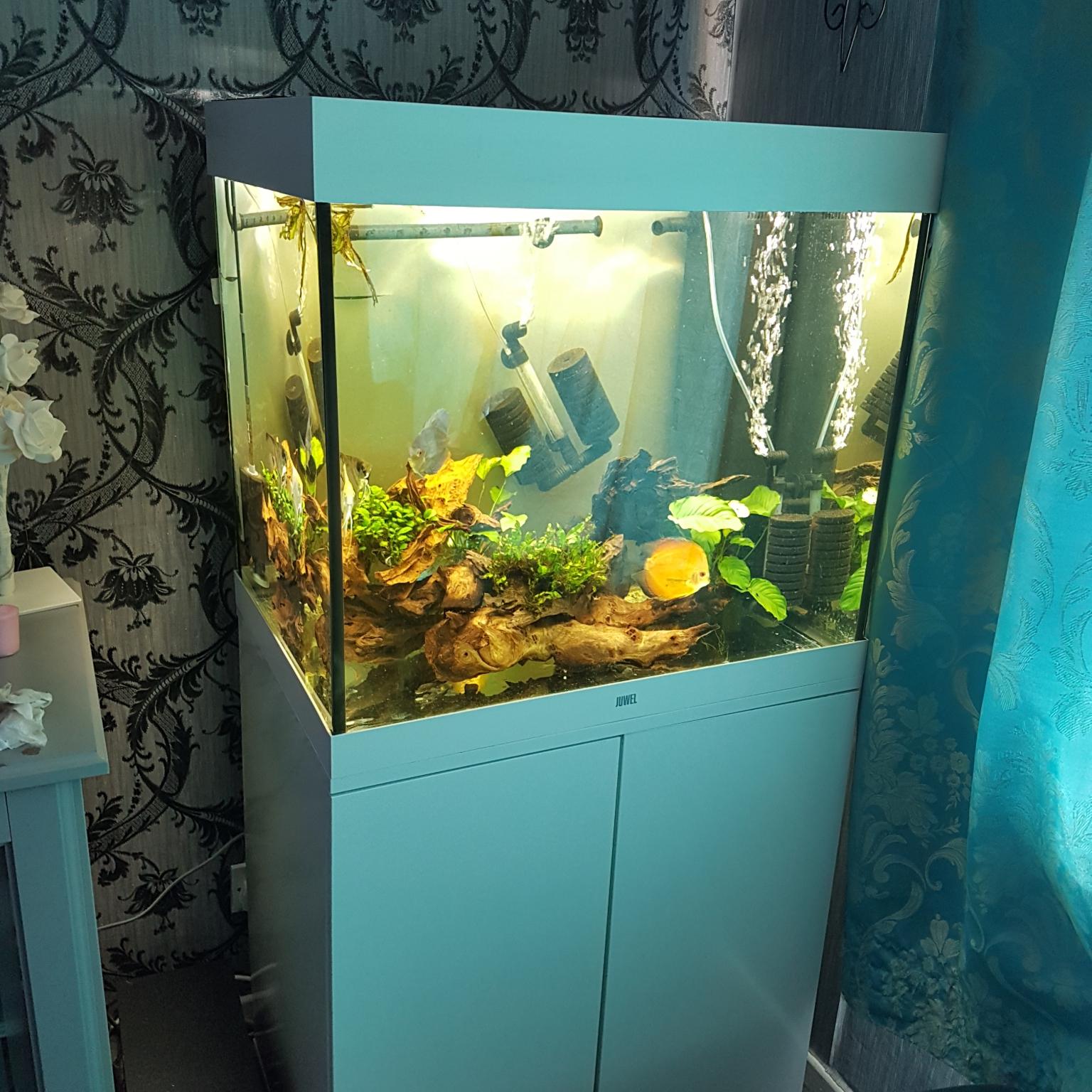 juwel lido 200 led fish tank in Peterlee for €450.00 for sale | Shpock