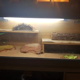 Stylish easily accessible glass fronted vivarium with lockable doors.
There are also two internal shelves that are ideally positioned to provide safe basking areas.
Comes complete with all shown in the picture as well as heat lamp, strips lights and thermostat.