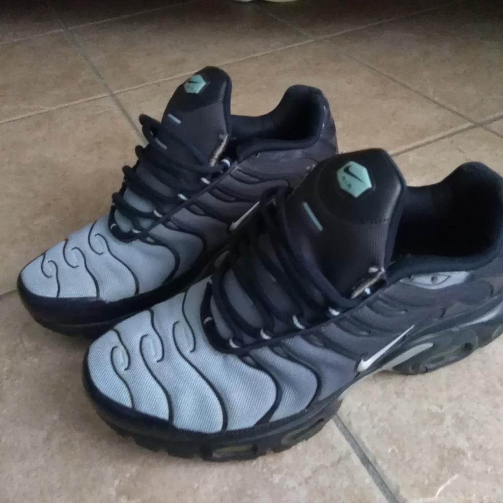 Nike air max tn squalo 44.5 in 20099 Sesto San Giovanni for 70.00