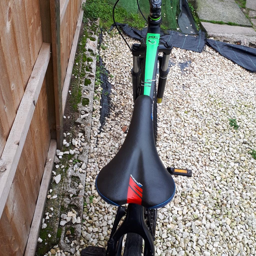 Viking valhalla mountain discount bike