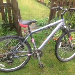Raleigh free ride mountain bike 21speed all in good working order and in great condition grab a bargain £40ono