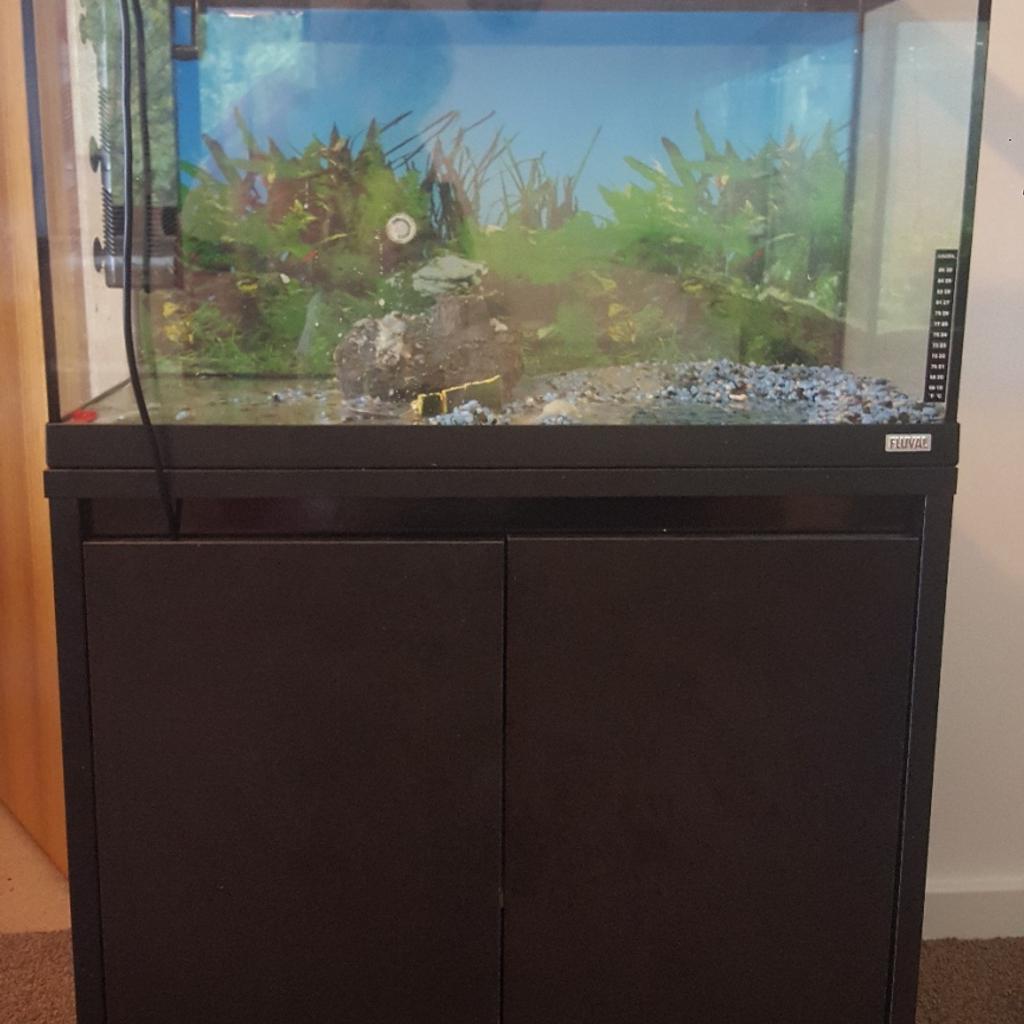 Fluval 125l Fish Tank and Accessories in RH19 Sussex for £175.00 for ...