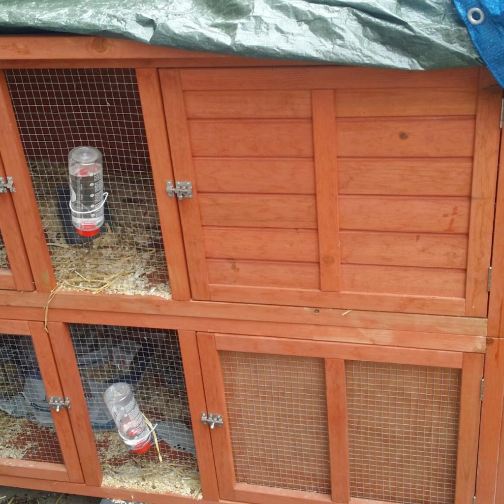 Rabbit hutch in WS10 Walsall für 65,00 £ zum Verkauf Shpock DE