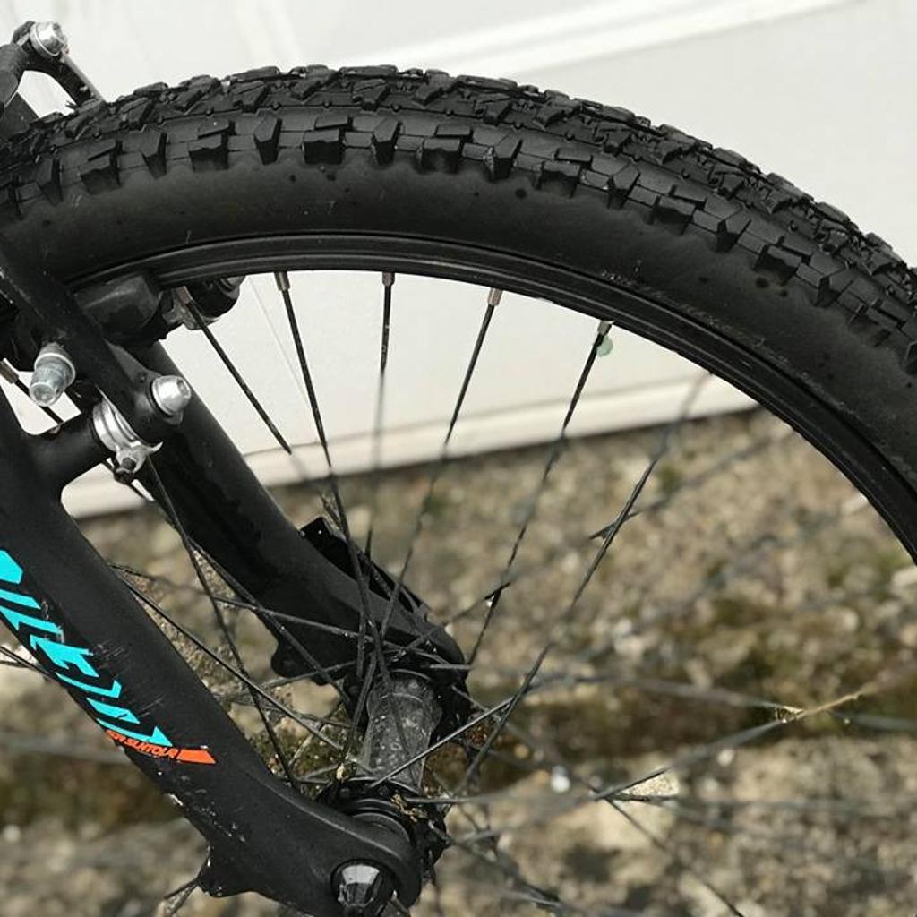 Orbea mx20 online 2018