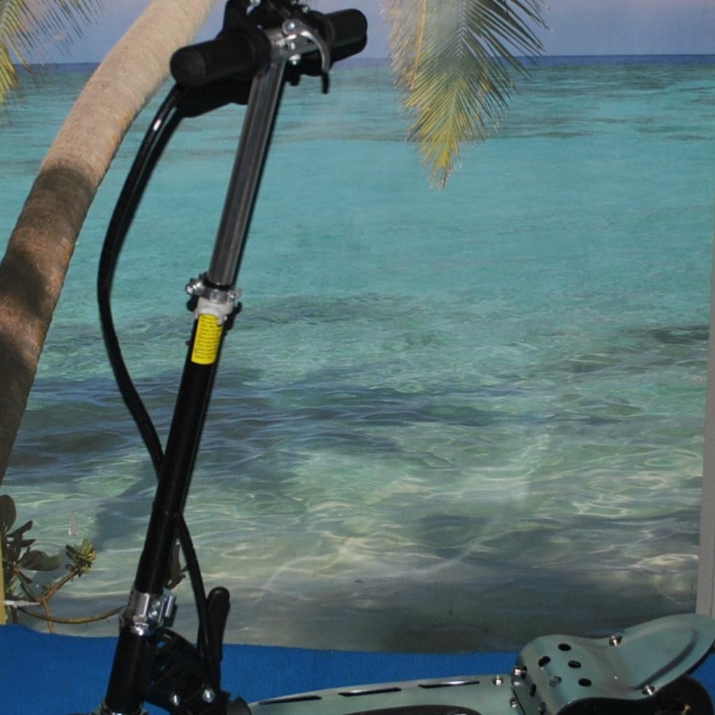 Smarty M | Scooter elettrico pieghevole a 4 ruote