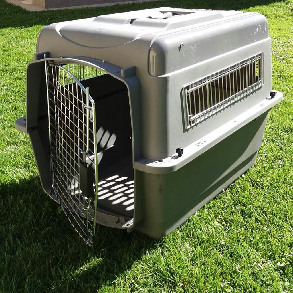 Transportbox fuer Hund (Flugbox) in 8600 Kapfenberg für 50,00 € zum ...