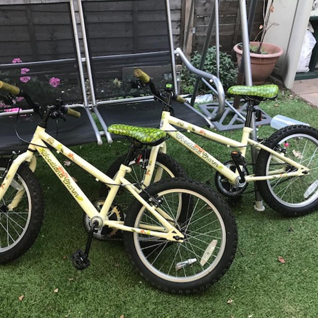 apollo woodland charm 18