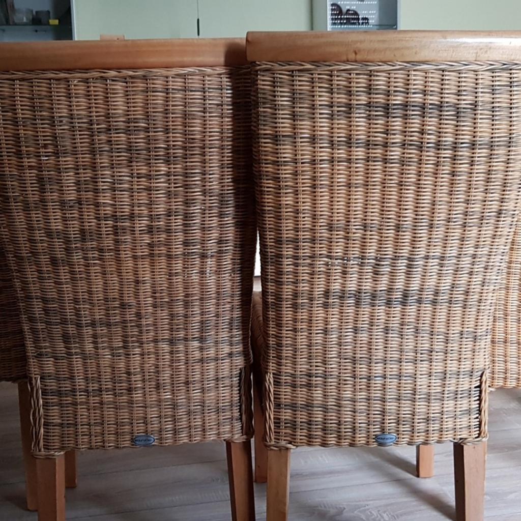 Wolf Möbel rattan Stühle (GEBRAUCHT) in 60388 Frankfurt am Main für 70