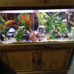 3ft aquarium with stand all water tight no chips in tank. light unit is built into the lid so it all works has it should.
tank come with everything you need for a tropical tank
water treatments
2 heaters
external filter
air stones
air pump
gravel
fake plants
and buckets ,hand pump to empty tank £180