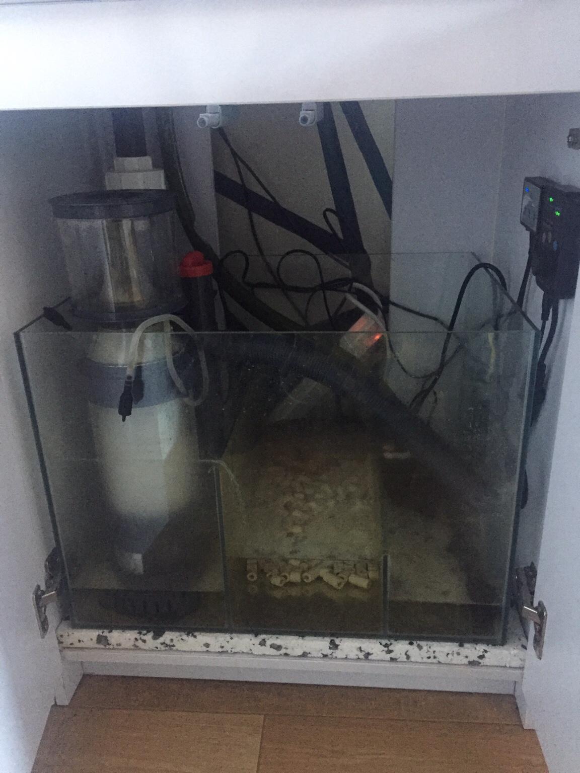 Marine tank setup in NN17 Corby für 200,00 £ zum Verkauf | Shpock DE