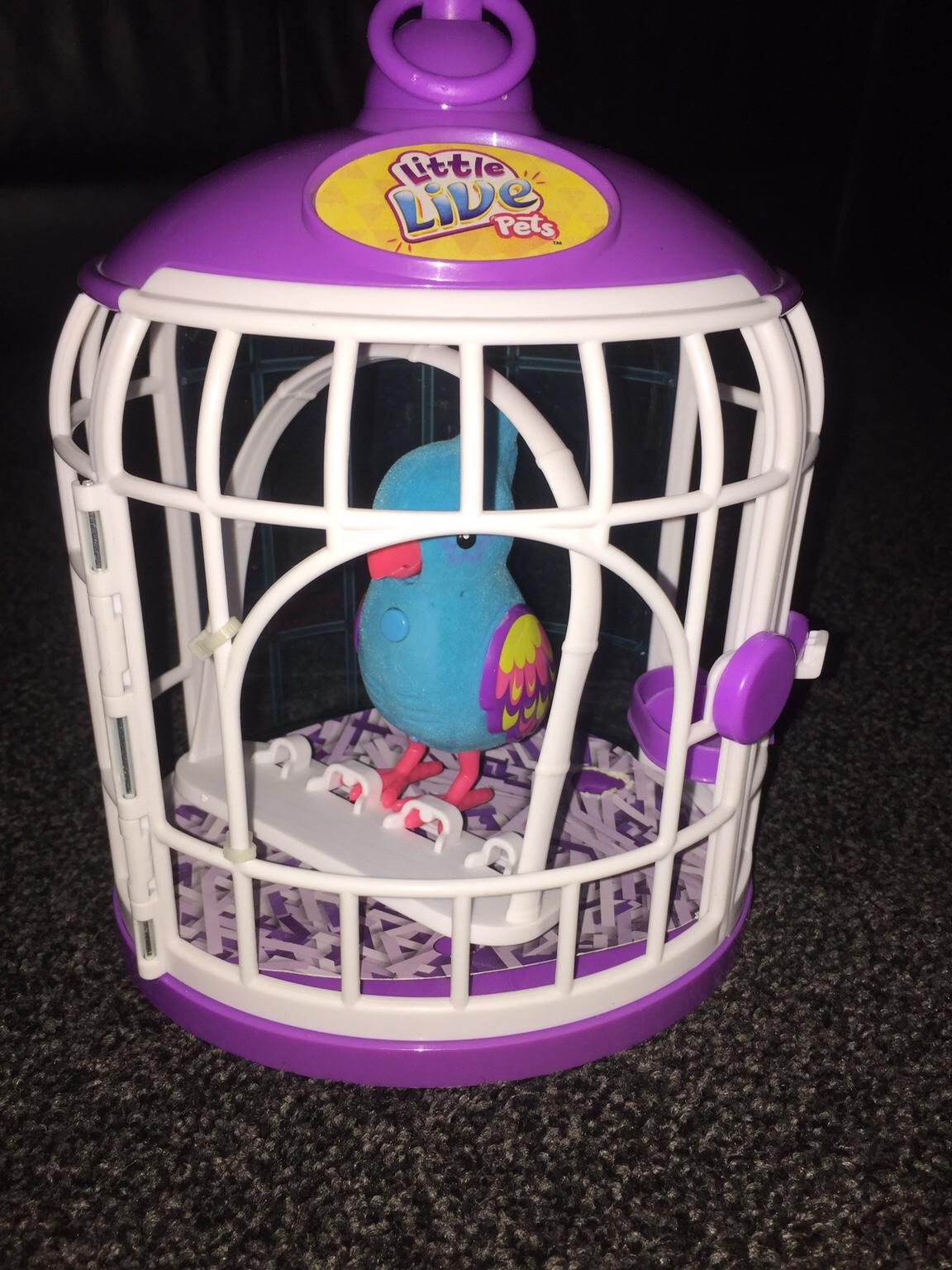 Little live pets, parrot with cage in South Staffordshire für 3,00 ...