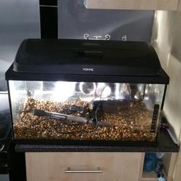 2 foot fish tank