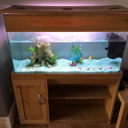 4ft fish tank with stand and cupboard.
With rock, gravel, plant, starfish, filter, air pump