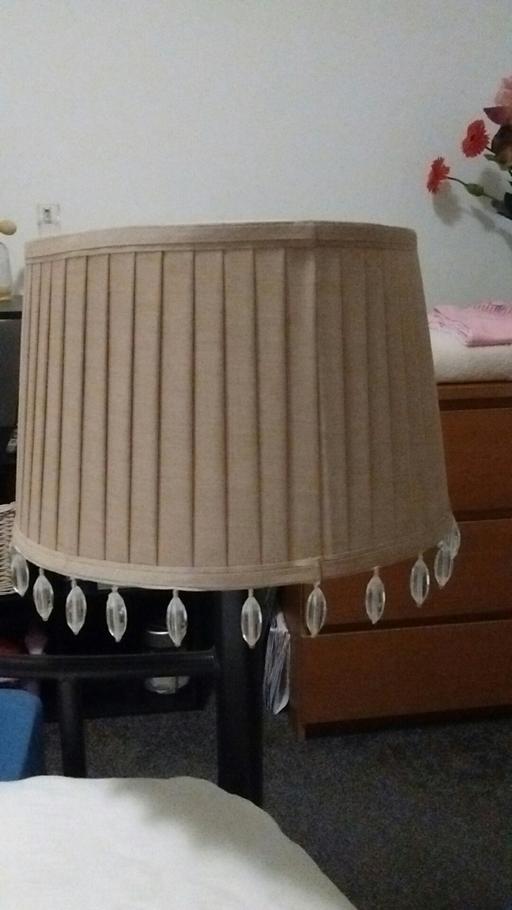 Buy & Sell Rutherglen South Lanarkshire - Photos for lampshade