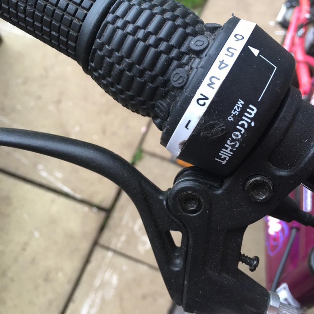 raleigh montana ladies bike