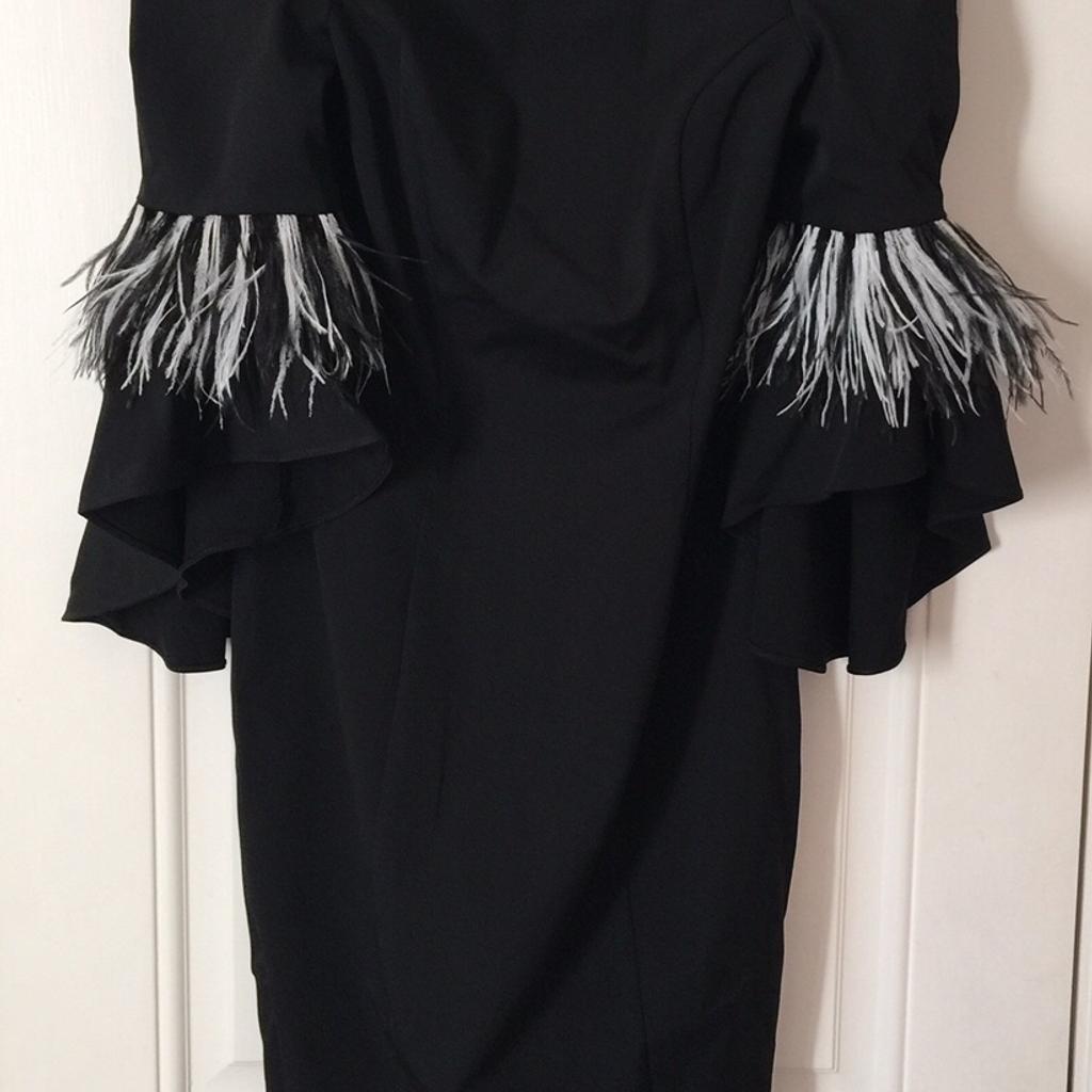 Coast Sadie Feather Trim Dress Size 12 NEW in W5 London for