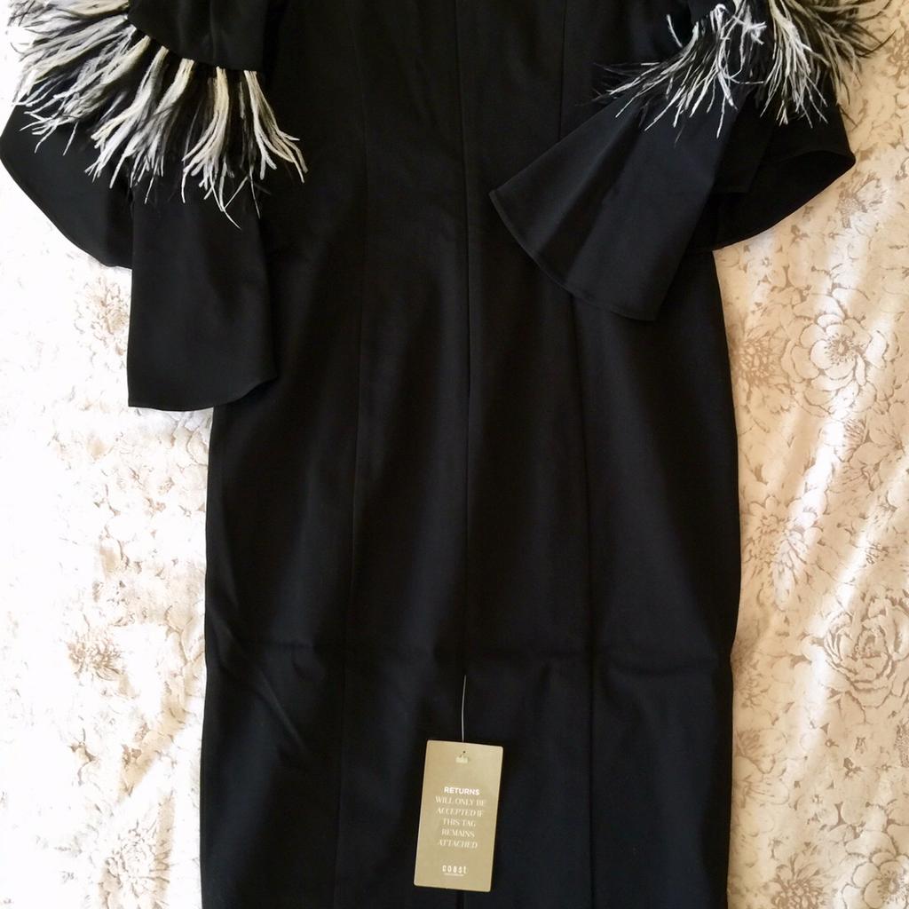 Coast sadie outlet feather dress