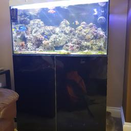 Here i have a full marine setup for sale. Comes with led lighting. 2x power heads. Digital thermostat. Sump. Deltec mce 600 skimmer. 2 x sump outlet pumps. And a tank full of live rock. Also comes with a matching black gloss cabinet. The tank is a EA reef pro 900.

Overall System Volume: 267 Litres (Nett)
Aquarium Dimensions: 900 x 500 x 600mm (L x W x H) Glass thickness: 12mm.

Sump Dimensions: 800 x 350 x 400mm (L x W x H)
6mm outer glass thickness
8mm divider glass thickness.