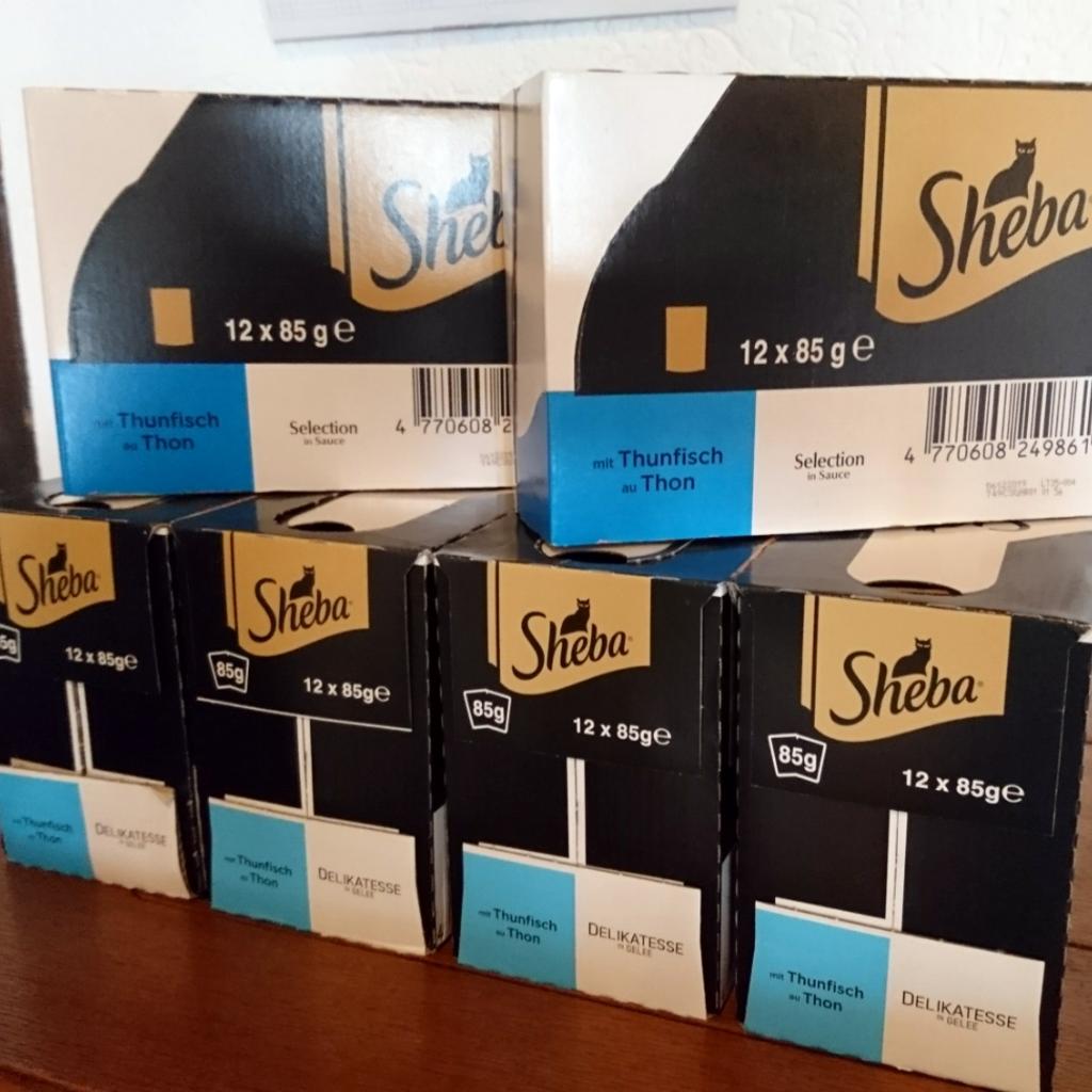 Sheba Katze in 71732 Landkreis Ludwigsburg für € 25,00 zum Verkauf
