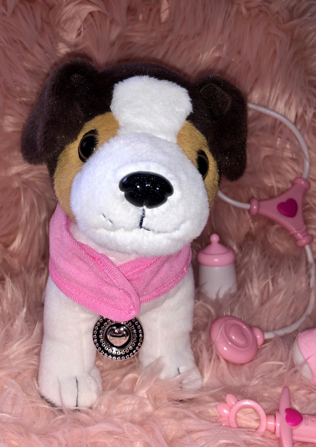 Zapf Baby Born Hund Ronnie wie neu in 67360 Lingenfeld für 25,00 € zum