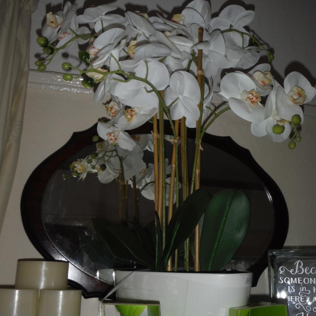 COSTCO ARTIFICIAL ORCHIDS.. LARGE in L22 Sefton für 39,99 £ zum Verkauf