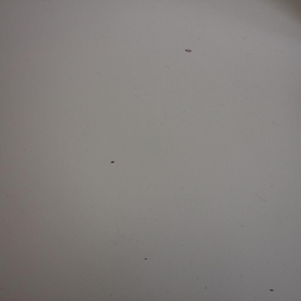 IKEA LINNMON/ALEX Table Top in W1G London for £8.00 for sale Shpock