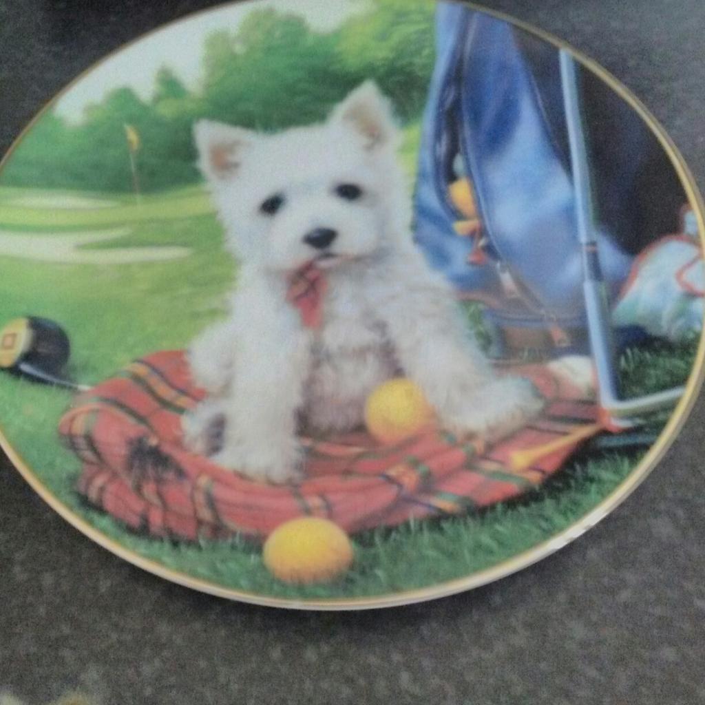 2 Jim lamb dog plates good condition collection only £5