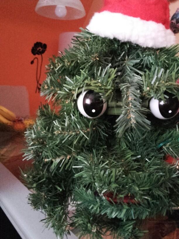 singender und tanzender weihnachtsbaum in 8753 Fohnsdorf für € 20,00