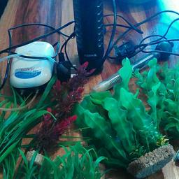 Tropical fish tank accessories bundle,
10 artificial plants
An aquael asap 700 filter (around 20 pounds brand new on ebay)
Boyu double outlet airpump with 1 tube and bubble block included
Elite 50w fish tank heater
All in great condition and fully working
Price for job lot