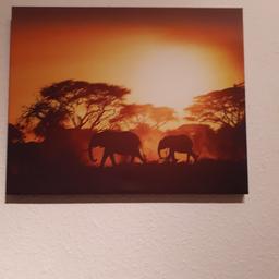 Hallo .
Wandbild Sonnenaufgang mit Elefanten zu verkaufen .

Höhe 40 cm
Breite 50 cm

Kein Versand
Bitte guckt euch auch noch meine anderen angebote an . Danke

Lg