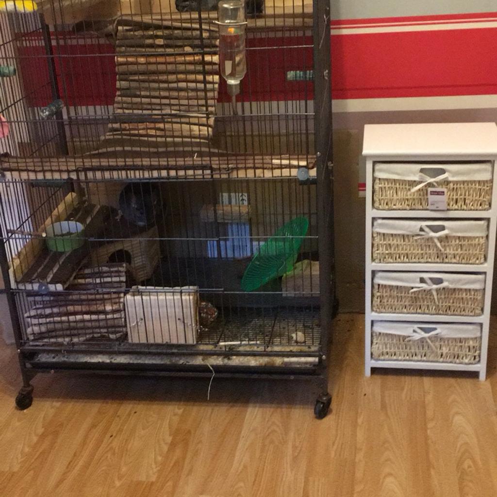 Chinchilla cage for sale in B98 Redditch for £40.00 for sale Shpock