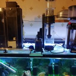 3 × protein skimmers for sale 2 × ehiem yega 300watt heaters 2× red sea max 130 d circulation pumps aqua ray 600 lights 1blue/White 1white with brackets would suit 3ft tank