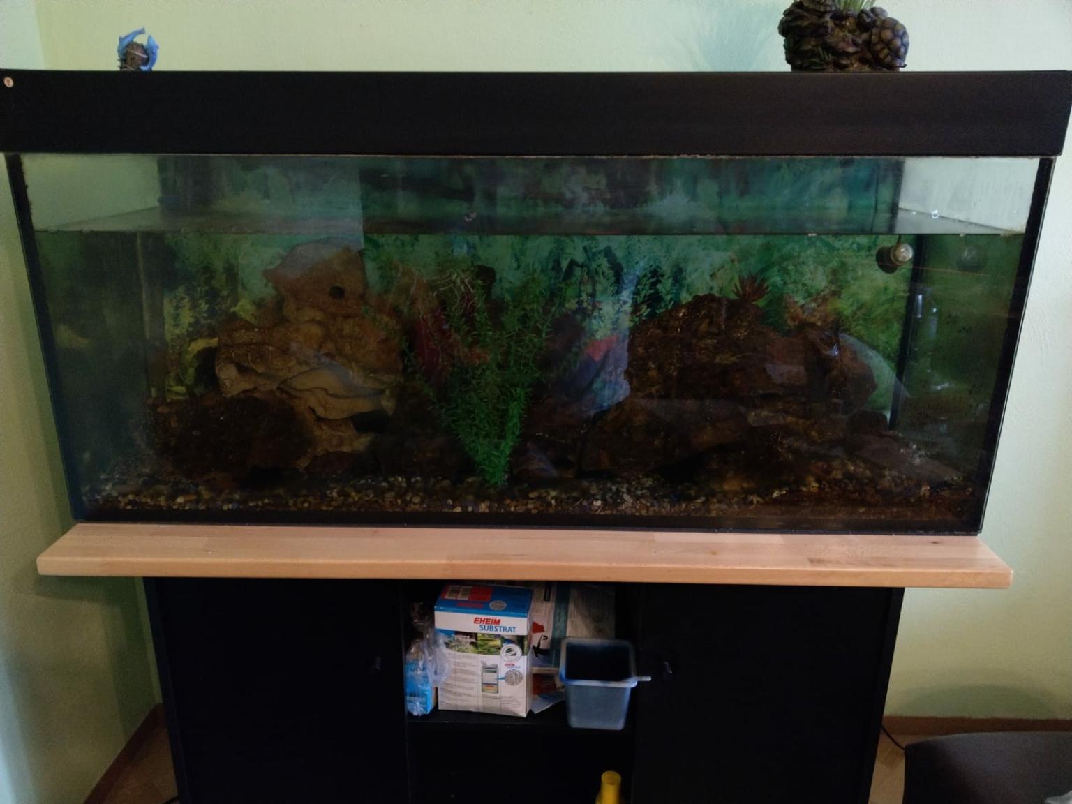 Aquarium 300 l zu verschenken inkl Fische in 90451 Nürnberg für gratis