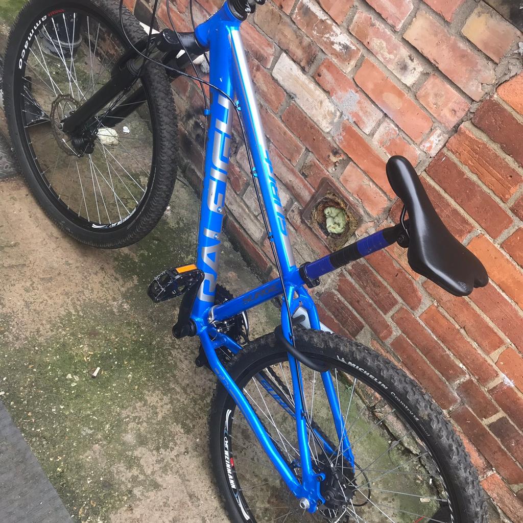 Raleigh surge hot sale mountain bike