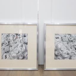 Pair of IKEA Ribba silver frames with rose print.