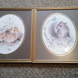 Each measure 13" x 11".
One is of a red squirrel and the other is of a pair of hamsters.
By John Evans.
Good condition.