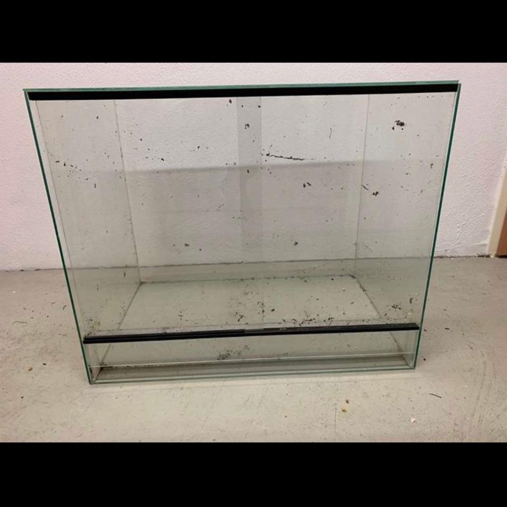 Terrarium für Achatschnecken oder Reptilien in 3472 HohenwarthMühlbach