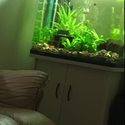 130 litre tank , measurements are

62cm length
30cm width
72cm hight 

Good condition apart from tiny crack in corner plastic doesn't cause a problem though. Need gone asap