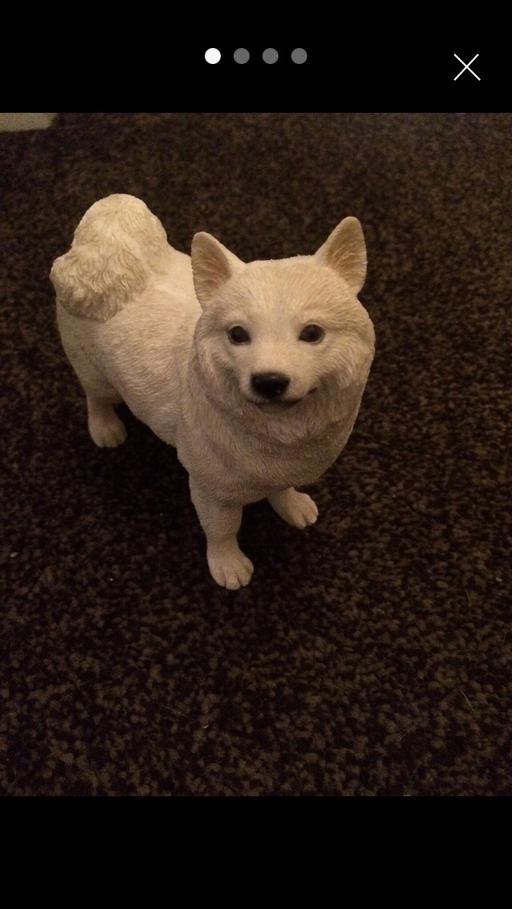 Buy & Sell South Yorkshire Barnsley - Photos for White Dog Orniment