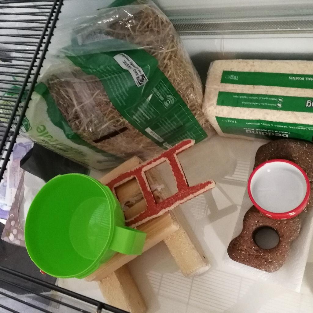 LARGE GLASS GERBIL GERBILARIUM TANK in WD23 Hertsmere for £50.00 for