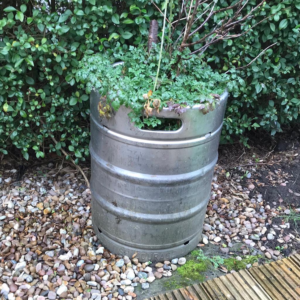 Garden Beer Keg Planter Free to collect! in M25 Park for free for