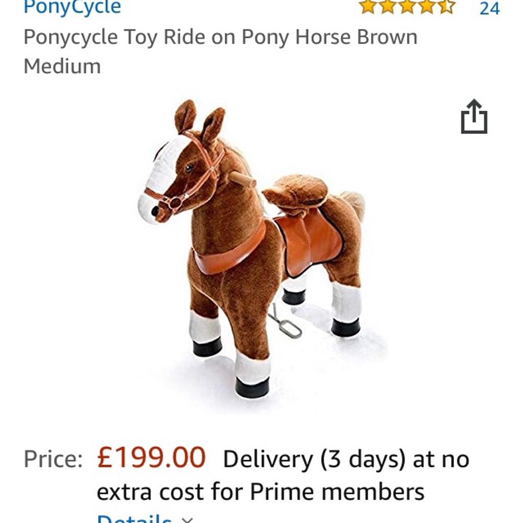 Pony store cycle instructions