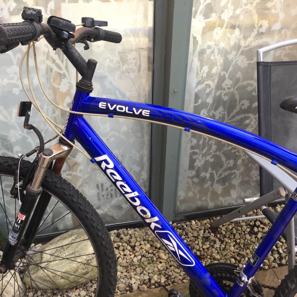 Reebok store evolve bike