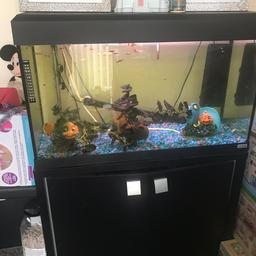 All the set up everything that’s seen in photo as includes lots of fish tank coloured lights and air stone but not set up in tank can deliver for extra