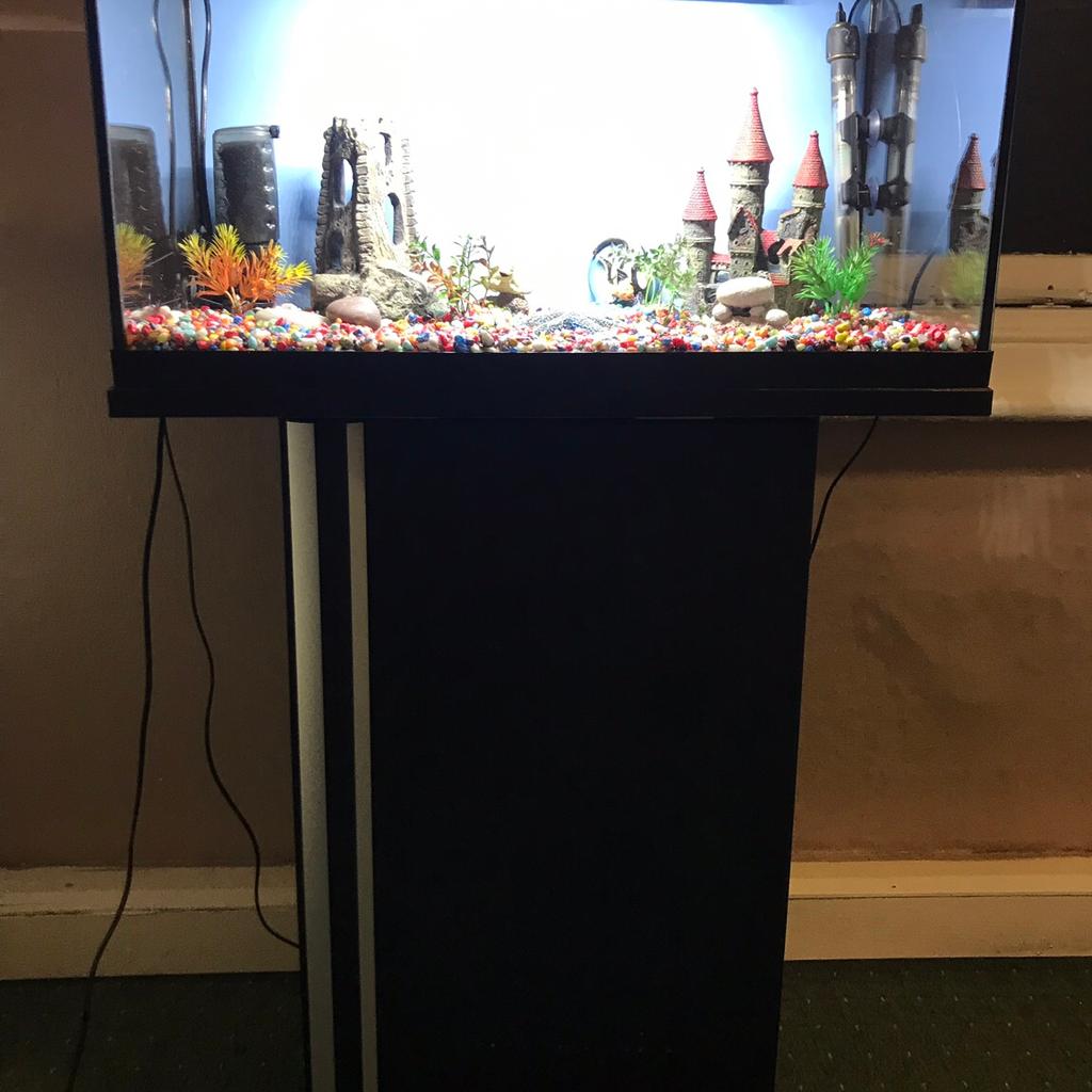 2 foot fish tank complete setup in TS1 Middlesbrough for £75.00 for